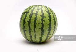 热门大瓜有哪些,揭秘明星幕后故事